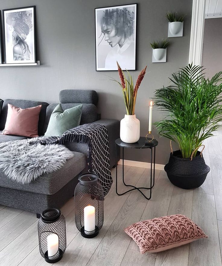 Shop cây online quận Bình Thạnh | Giao cây tận nhà - cây yêu thương