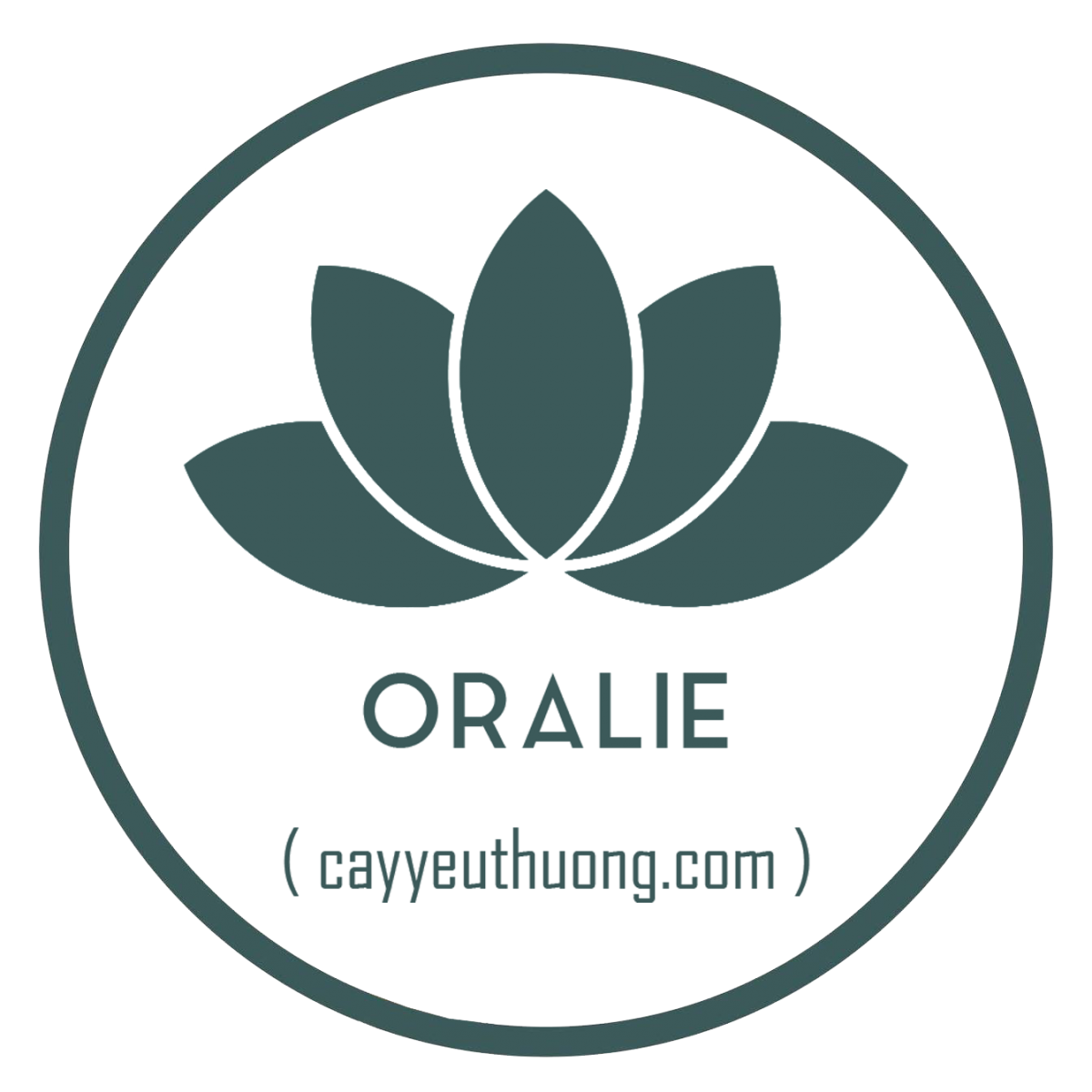 Mua cây rẻ đẹp giá từ 60.000đ tại Hồ Chí Minh Mua cây rẻ đẹp giá từ 60.000đ tại Hồ Chí Minh