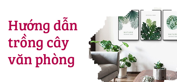 Banner QC dưới slider