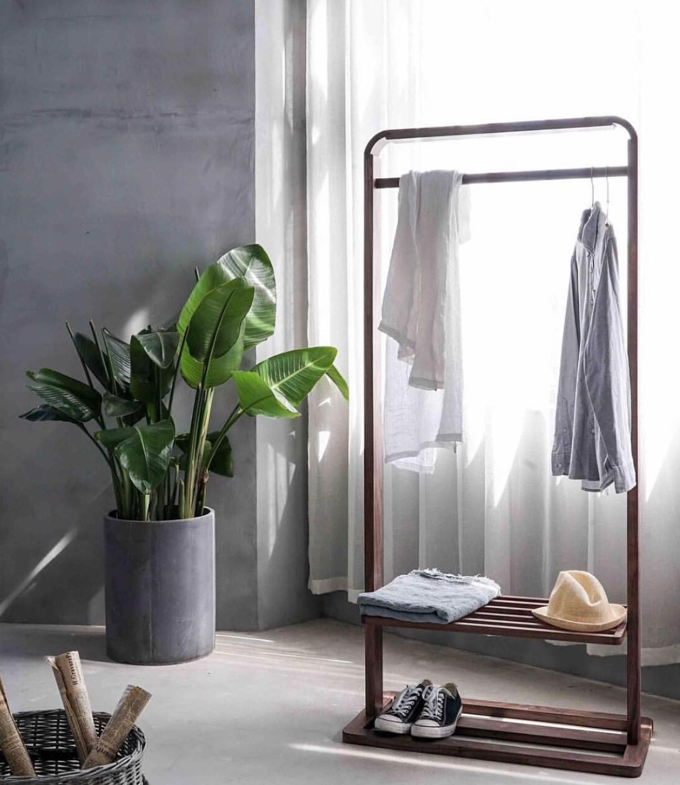 Shop cây online quận 2,Chất lượng,đẹp, giá rẻ TP.HCM-Cây yêu thương Shop cây online quận 2,Chất lượng,đẹp, giá rẻ TP.HCM-Cây yêu thương