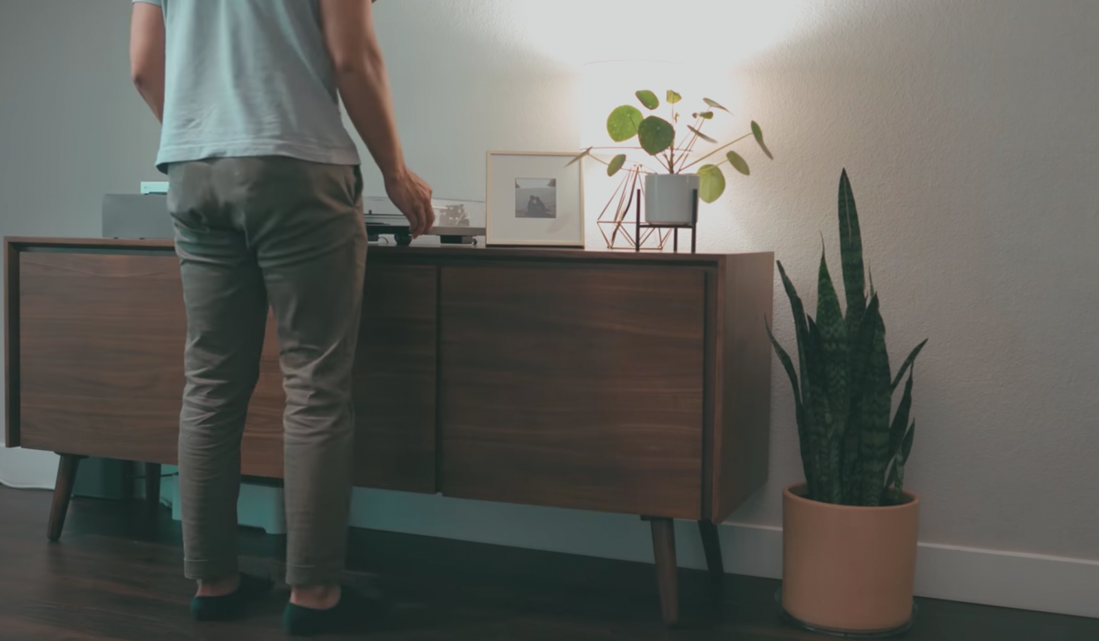 Shop cây online quận 1| Giao cây tận nhà - cây yêu thương Shop cây online quận 1| Giao cây tận nhà - cây yêu thương