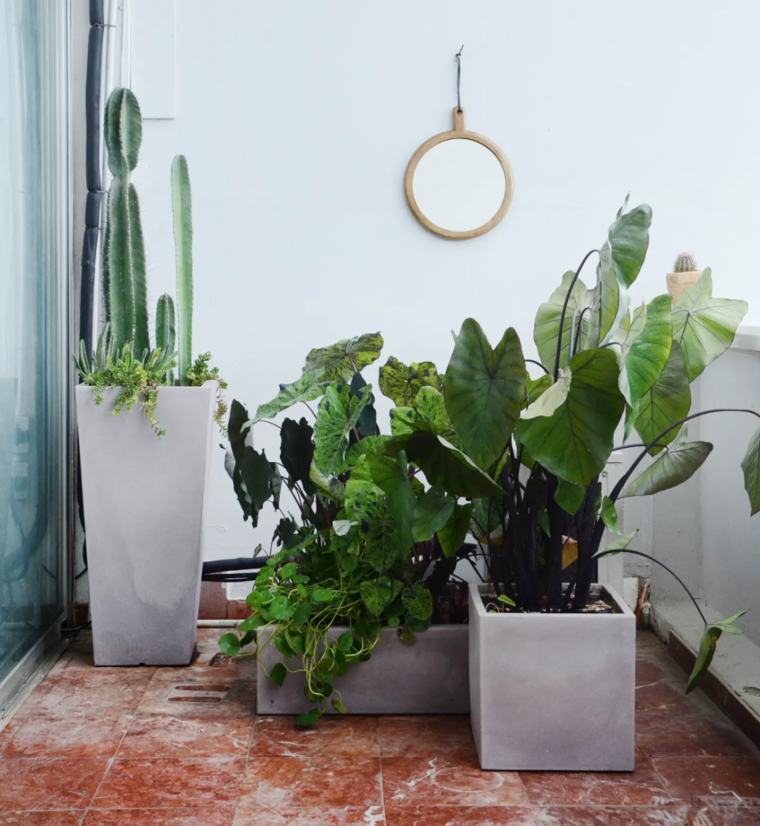 THIẾT KẾ BAN CÔNG | THI CÔNG BAN CÔNG ĐẸP Ở QUẬN 8 TP.HCM - CÂY YÊU THƯƠNG