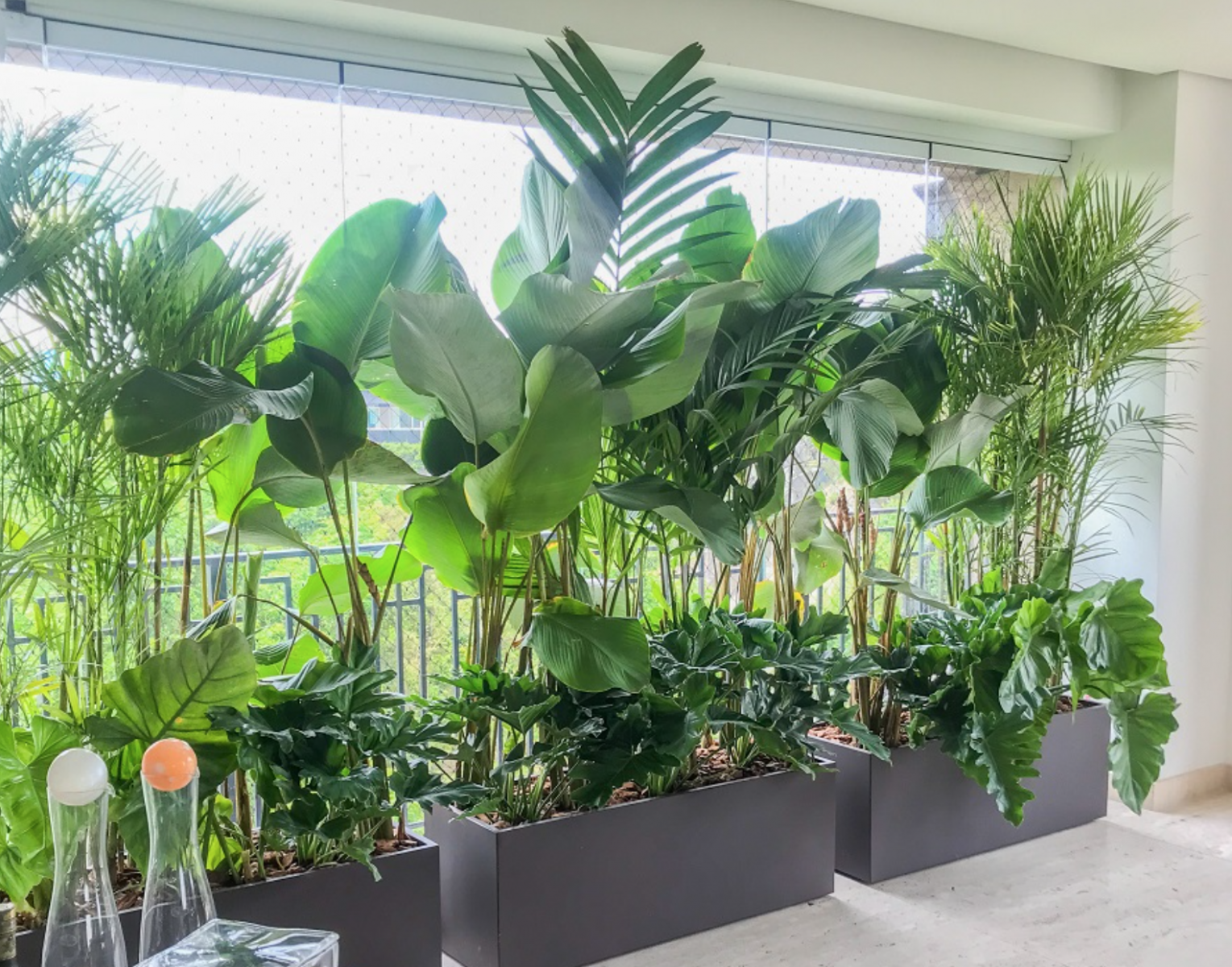 THIẾT KẾ BAN CÔNG | THI CÔNG BAN CÔNG ĐẸP Ở QUẬN 8 TP.HCM - CÂY YÊU THƯƠNG