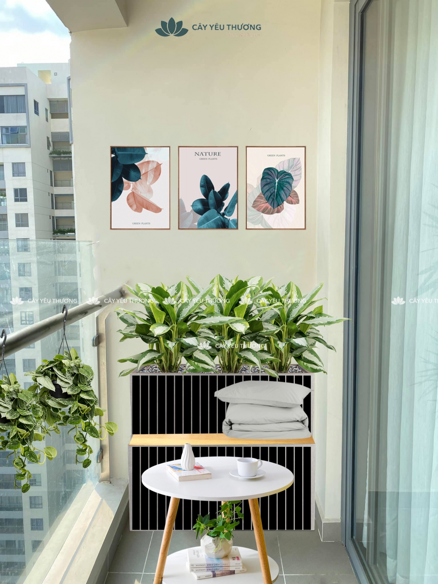 Không gian Sống nhỏ nhưng sống thông minh! Sắp xếp tránh cảm giác rẻ tiền