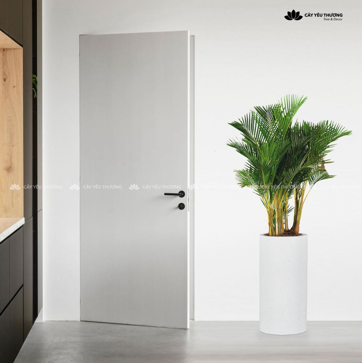 MUA CÂY TẶNG KHAI TRƯƠNG,CÂY TẶNG SINH NHẬT Ở QUẬN 10 TP.HCM - CÂY YÊU THƯƠNG