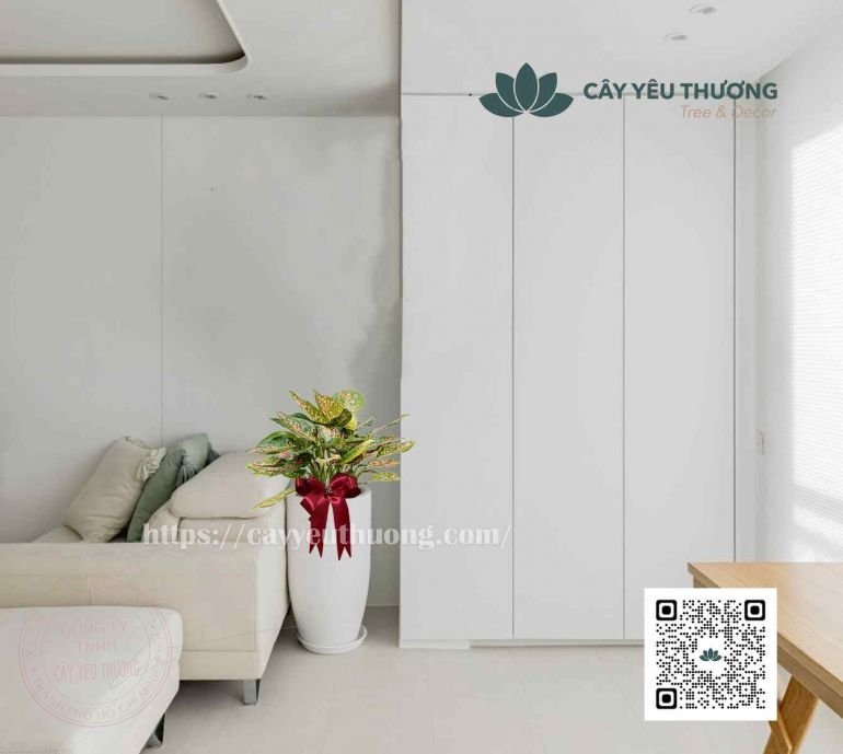 món quà khai trương ý nghĩa, tượng trưng cho tài lộc, may mắn và sự phát triển bền vững tốt nhất năm 2025 - 2026 món quà khai trương ý nghĩa, tượng trưng cho tài lộc, may mắn và sự phát triển bền vững tốt nhất năm 2025 - 2026