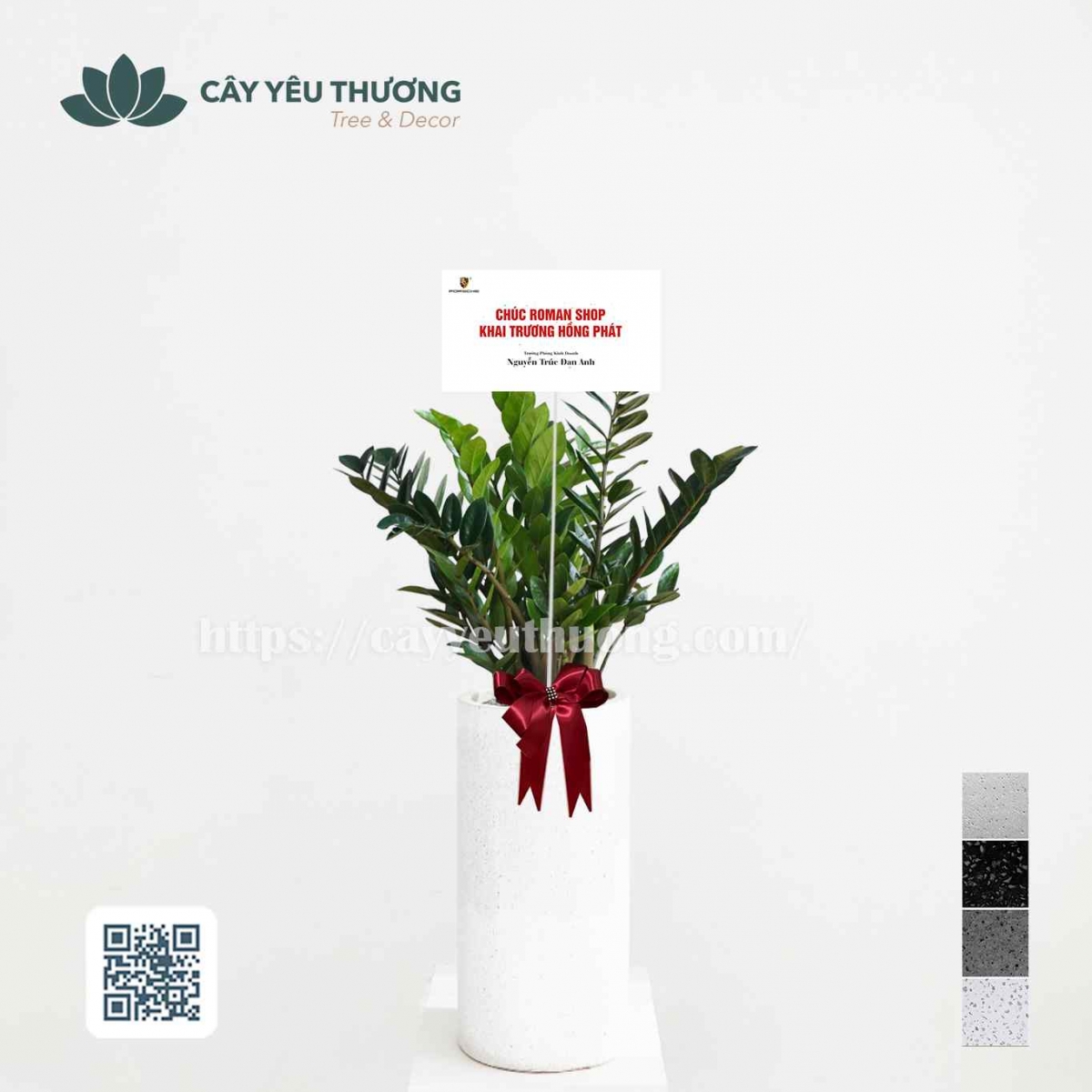 Top 12 cây cảnh tặng khai trương đẹp,ý nghĩa nhất 2022-2023