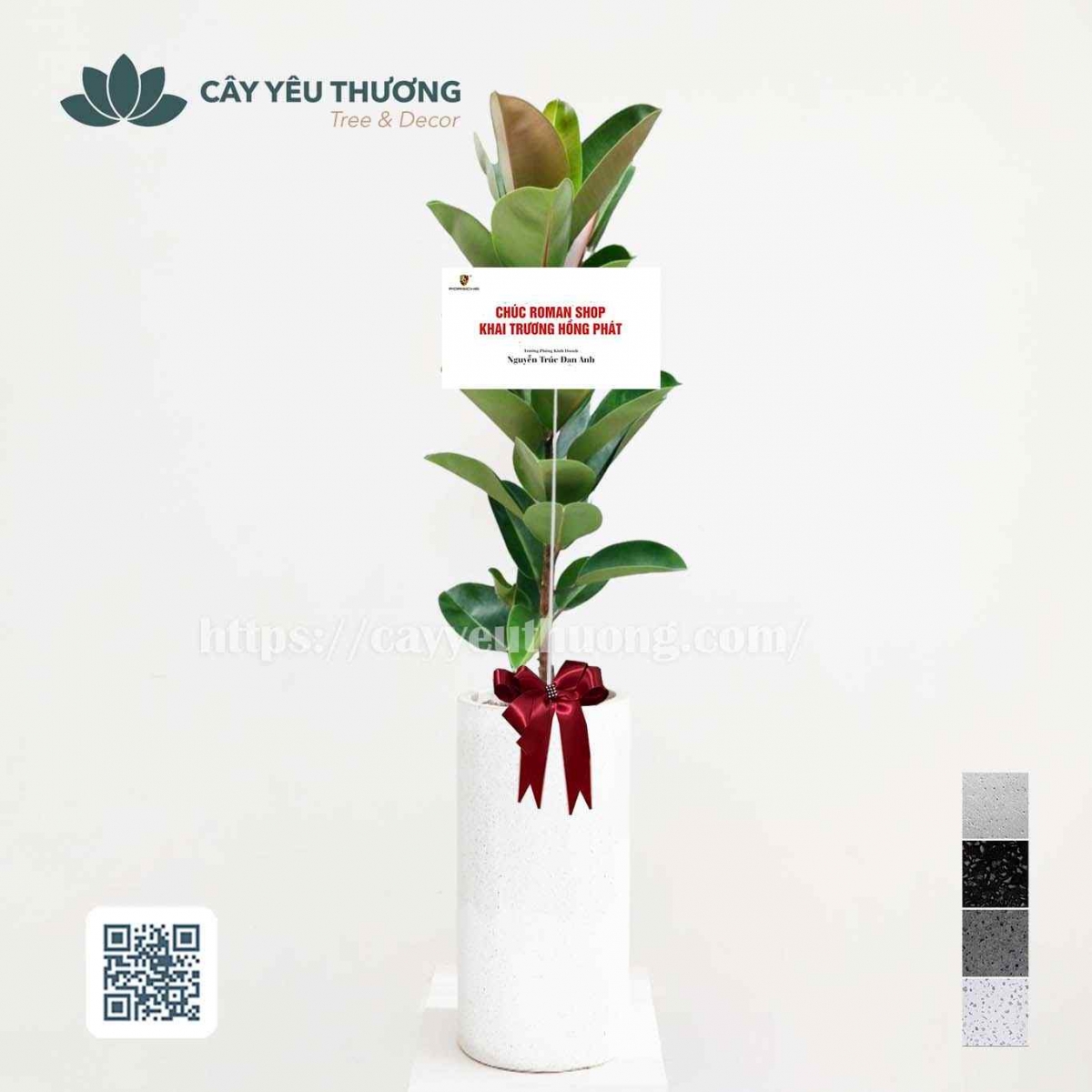 Top 12 cây cảnh tặng khai trương đẹp,ý nghĩa nhất 2022-2023