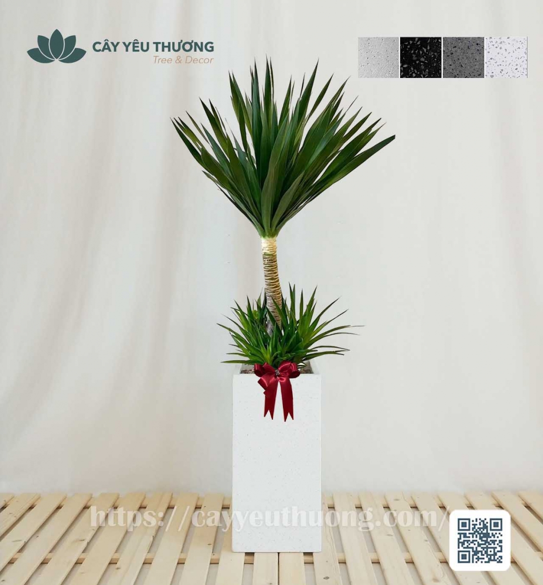 Cây phát tài núi mừng khai trương sang trọng,may mắn,tài lộc cho gia chủ