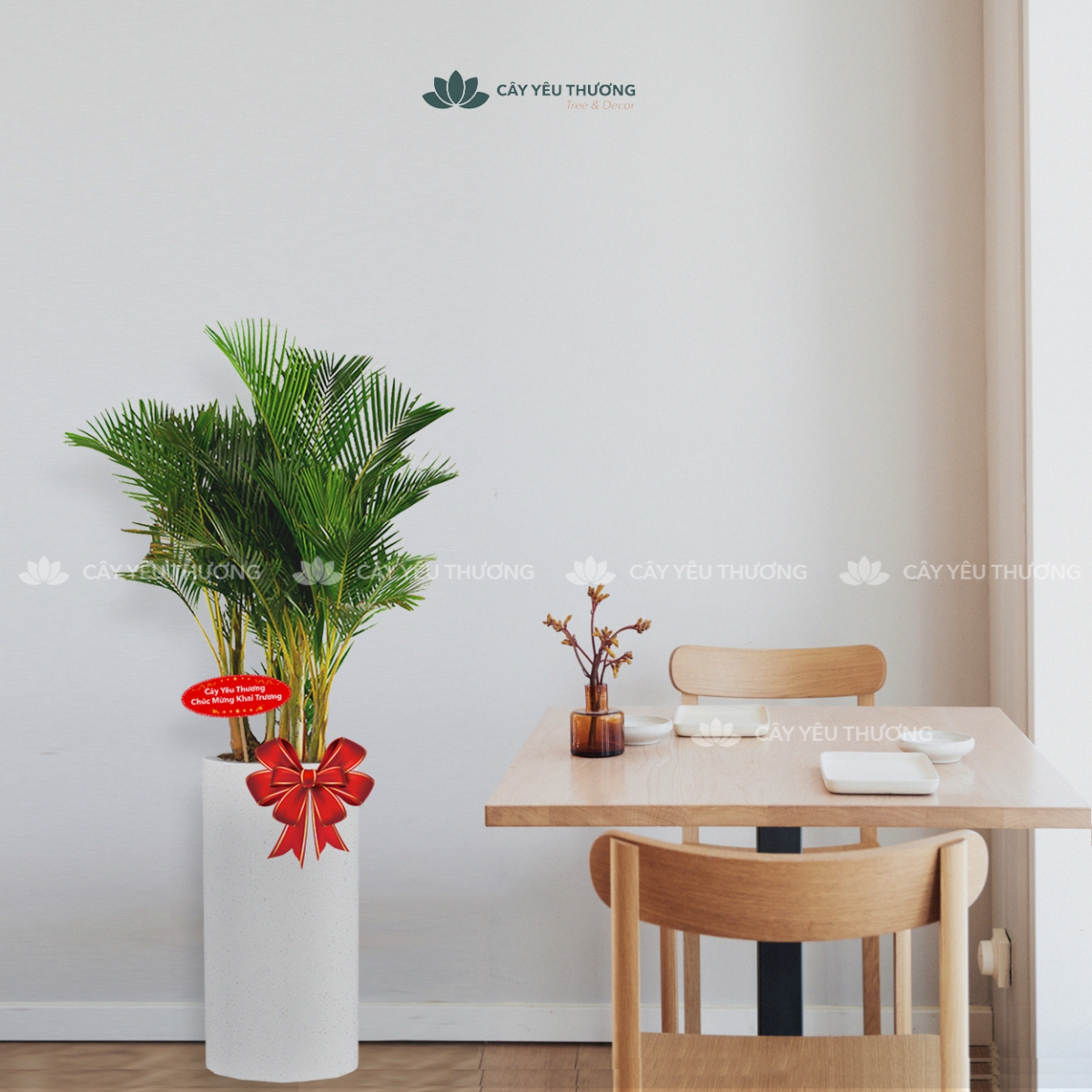 MUA CÂY TẶNG KHAI TRƯƠNG,CÂY TẶNG SINH NHẬT Ở QUẬN 1 TP.HCM - CÂY YÊU THƯƠNG