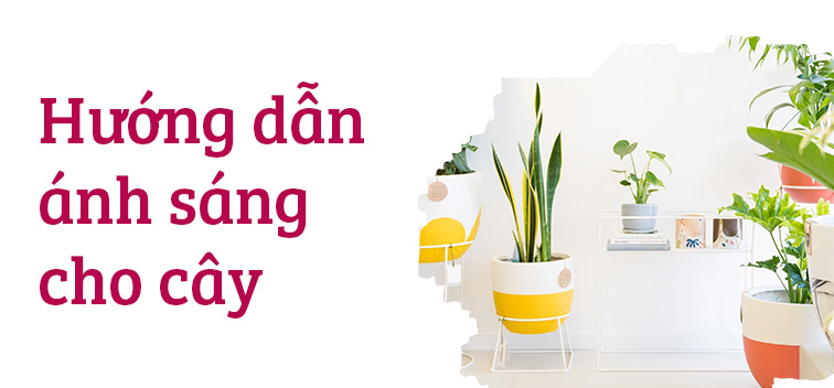 Banner QC dưới slider