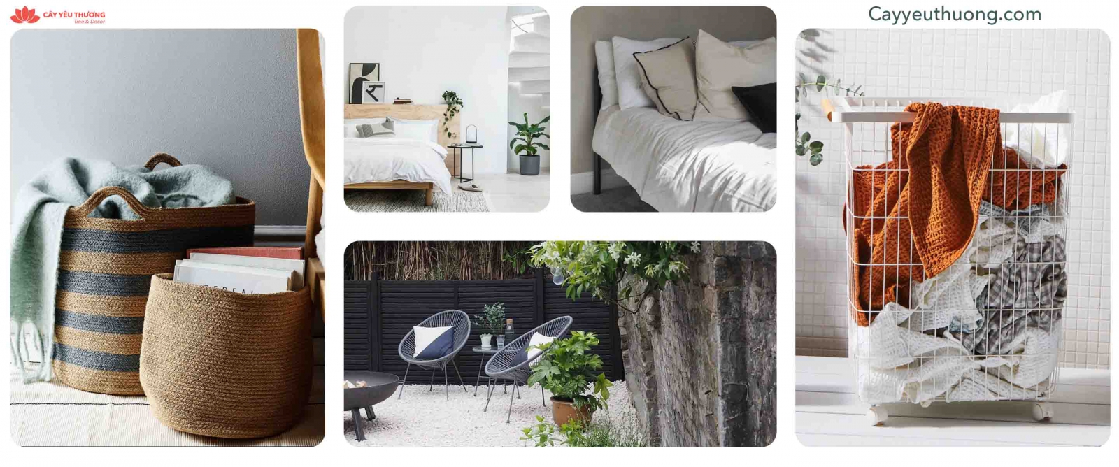 SHOP DECOR ONLINE QUẬN 3 TP.HCM - CÂY YÊU THƯƠNG