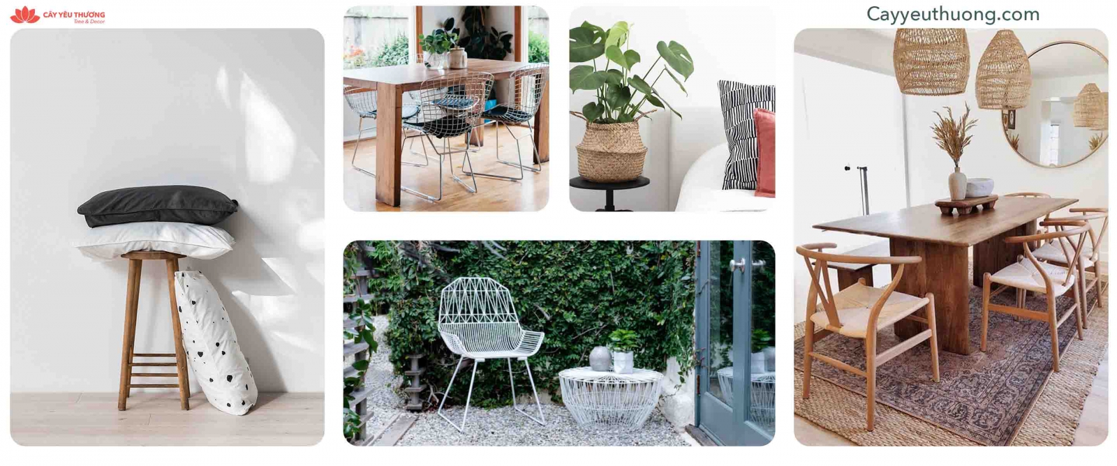 SHOP DECOR ONLINE QUẬN 4&nbsp;TP.HCM - CÂY YÊU THƯƠNG