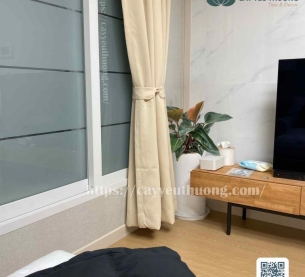 Cây đế vương đỏ chậu cây trang trí phòng khách