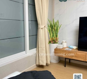 Cây lưỡi hổ cây kiểng phong thủy trong nhà