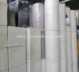 Cây mỏ két Cây mừng khánh thành đẹp,giá rẻ tại TPHCM