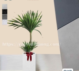 Cây phát tài núi mừng khai trương sang trọng,may mắn,tài lộc cho gia chủ