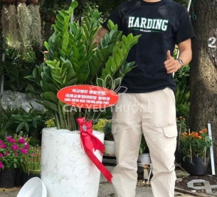 Cây tặng khai trương cửa hàng phong thuỷ tốt nhất | Cây kim tiền (kim phát tài)