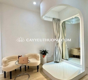 Chậu cây lan ý tặng khai trương cửa hàng nhỏ gọn xinh xắn